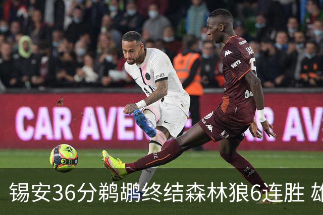 锡安36分鹈鹕终结森林狼6连胜 雄鹿险胜公牛